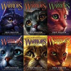 Set of 12 Warriors Book Lot
